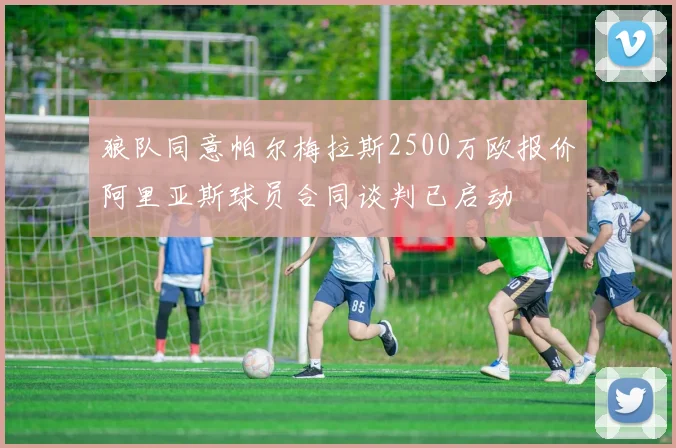 狼队同意帕尔梅拉斯2500万欧报价阿里亚斯球员合同谈判已启动
