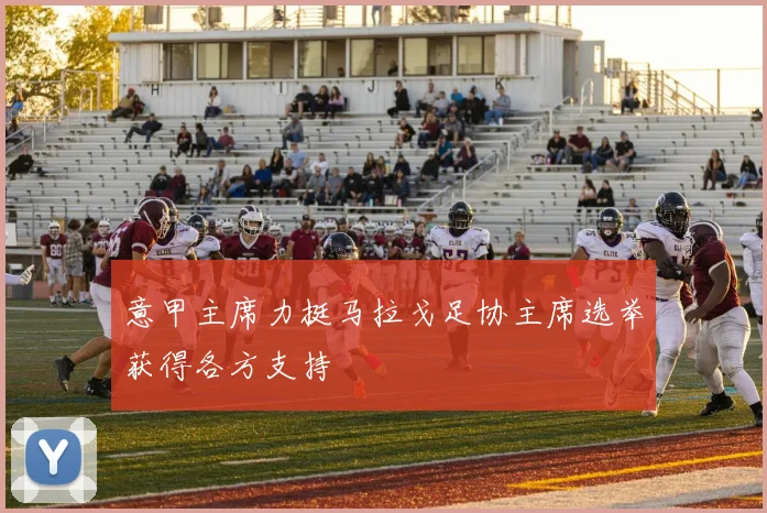意甲主席力挺马拉戈足协主席选举获得各方支持