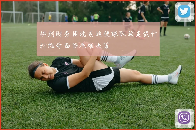 热刺财务困境或迫使球队放走武什科维奇面临艰难决策